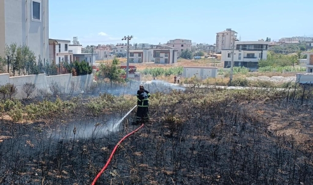 İtfaiye kaplumbağayı alevlerin arasından kurtardı