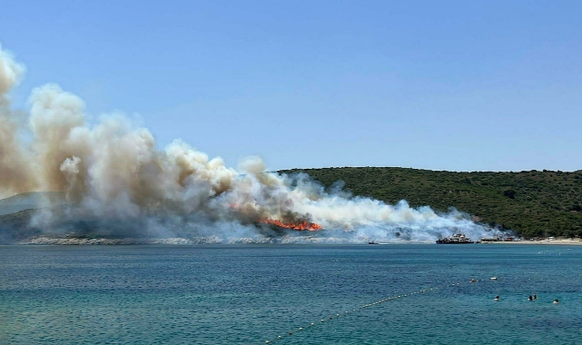 İzmir'de enerji nakil hattındaki teller yangın çıkardı!
