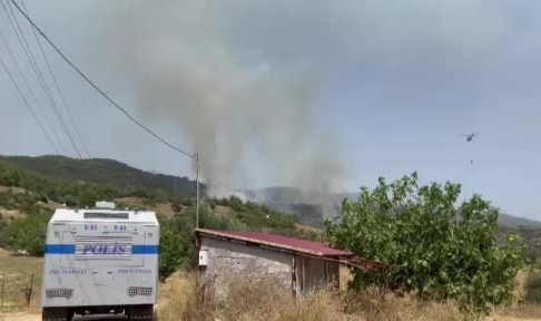 İzmir'de iki farklı noktada orman yangını