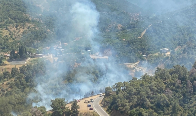 İzmir'de peş peşe orman yangınları!