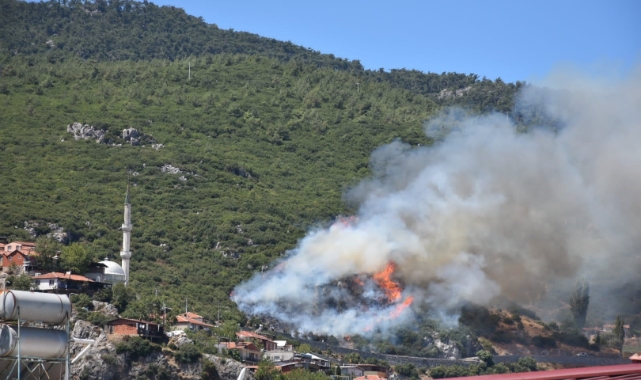 İzmir Kemalpaşa’da orman yangını