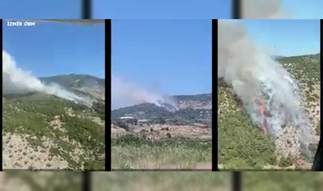 İzmir ve Manisa’da 9 orman yangını söndürüldü