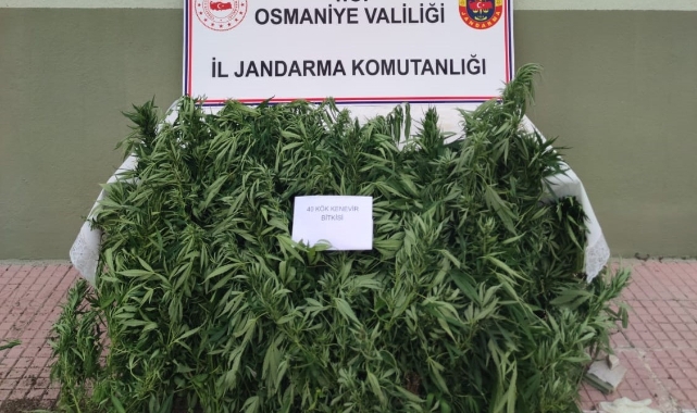 Jandarma'dan uyuşturucu ile mücadele