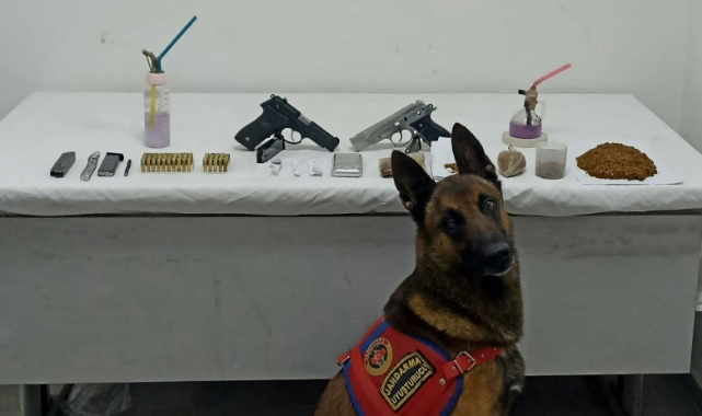 Jandarma Narkotik timlerinden 'Duman' imzalı operasyon