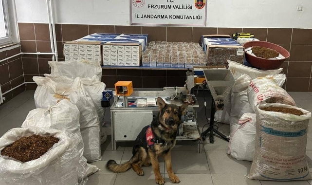 Jandarmadan kaçak sigara operasyonu