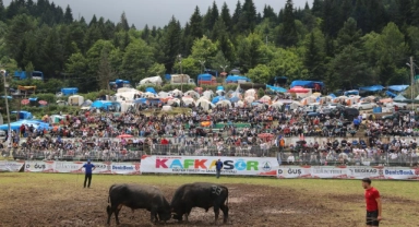 Kafkasör Festivali'nin 3. gününde 32 boğa güreşti