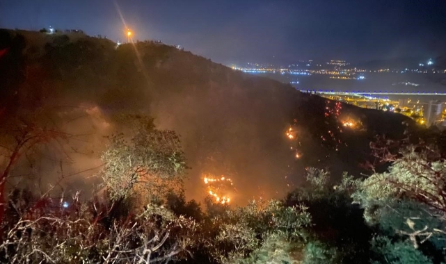 Kahramanmaraş'ta 7 dönüm zeytinlik kül oldu