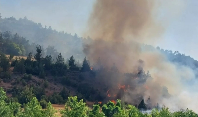 Kahramanmaraş’ta orman yangını