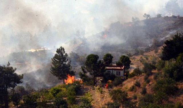 Kahramanmaraş'ta orman yangını!