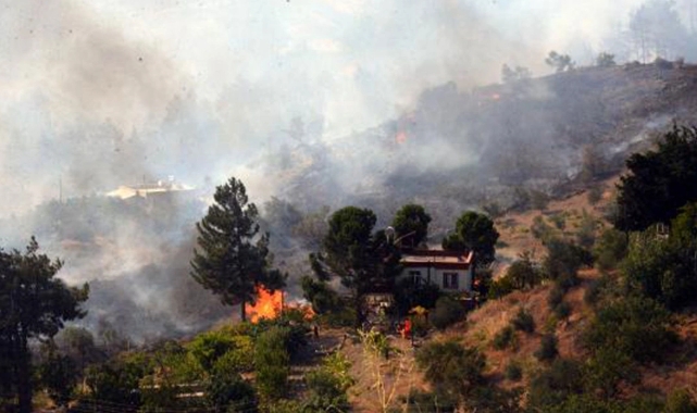 Kahramanmaraş'ta orman yangını kontrol altına alındı