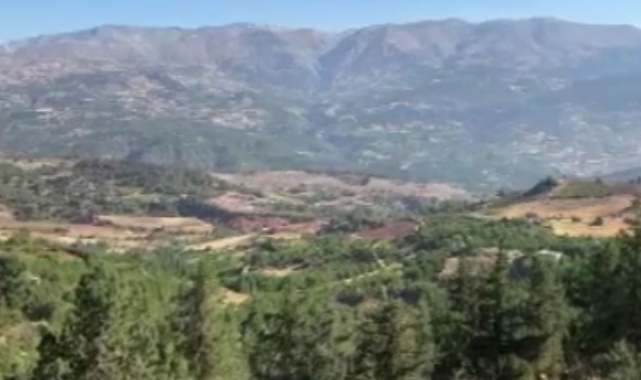 Kahramanmaraş'taki orman yangını söndürüldü