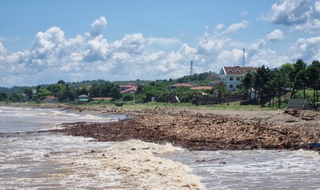 Karadeniz sahillerindeki odunlar enerji olacak
