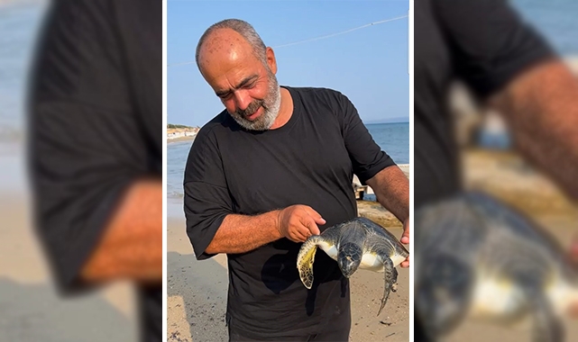Karaya vuran caretta caretta tekrar denize salındı