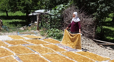 Karnavas dut pestili yapımı başladı