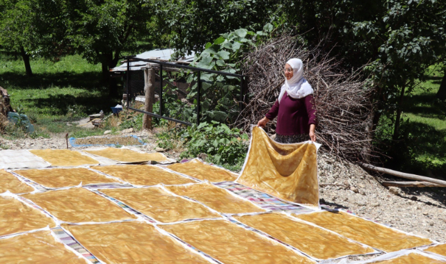 Karnavas dut pestili yapımı başladı