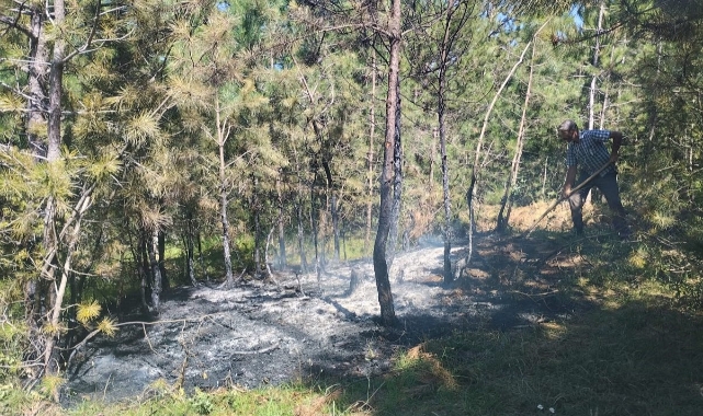 Kastamonu'nun 2 ilçesindeki orman yangınları söndürüldü
