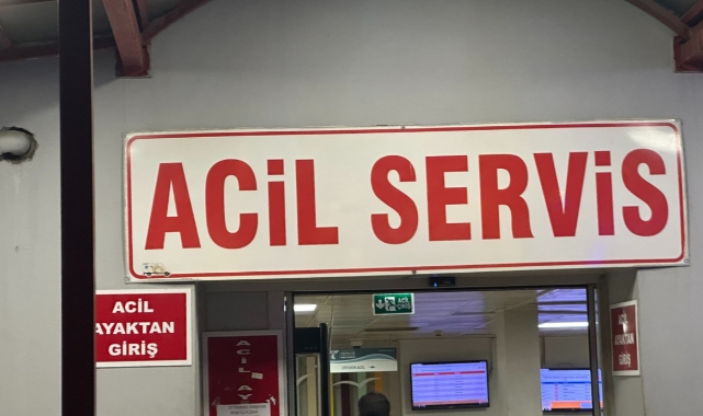 Kavgayı ayırmak isterken canından oldu