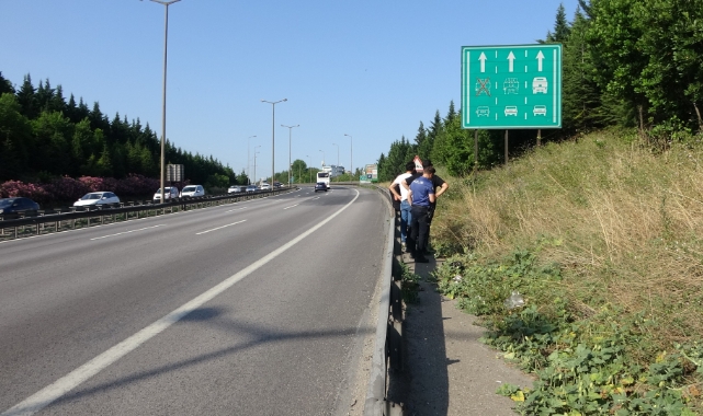 Kocaeli'nde ağaçlık alanda ceset bulundu