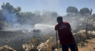 Koçarlı'da orman yangını söndürüldü