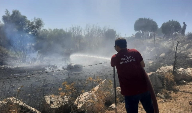 Koçarlı'da orman yangını söndürüldü