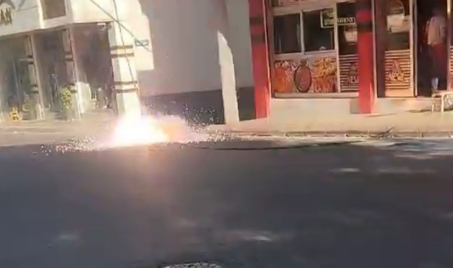 Kopan elektrik kabloları çevreye korku saçtı