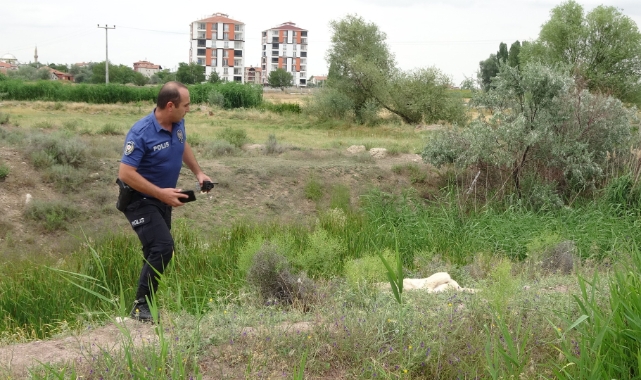 Köpeği av tüfeği ile öldürdü, 'Tavuklarıma saldırdı' dedi