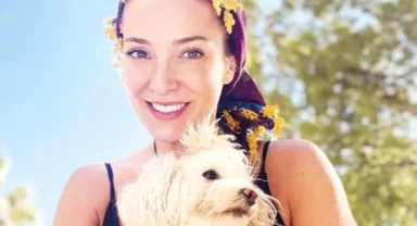 Köpeklerle tatil