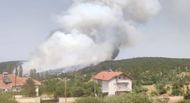 Kütahya'daki orman yangınına müdahale sürüyor