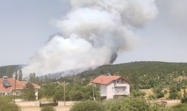 Kütahya'daki orman yangınına müdahale sürüyor
