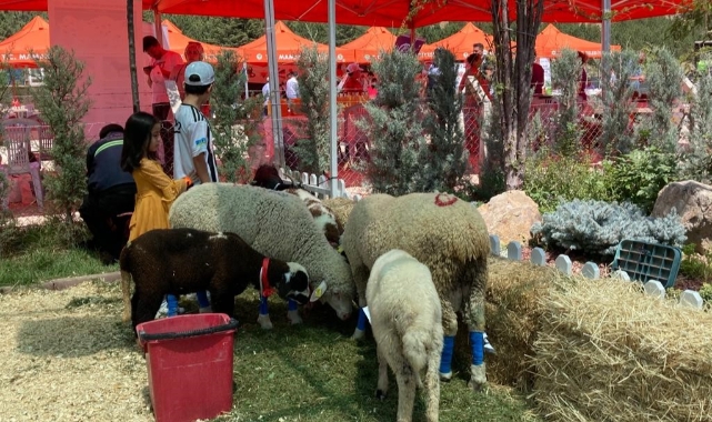 Mamak’ta EKOFEST 2023 başladı