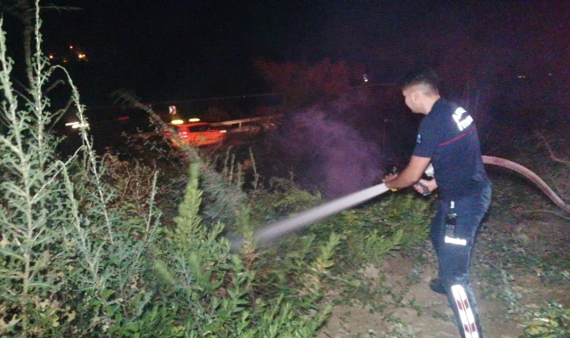 Manavgat'ta ot çalı yangını korkuttu