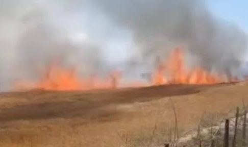 Mangal ateşi yangına neden oldu