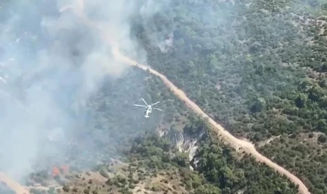 Manisa’da orman yangını