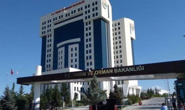 Manisa'da zeytin işletmesi faaliyetten men edildi