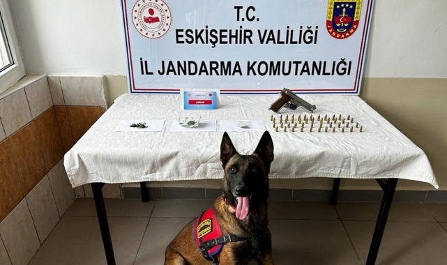 Mezarlığa kenevir ekmişlerdi! 2 kişi...