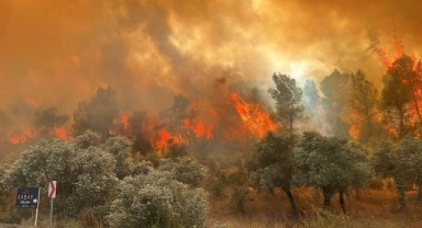 Milas’taki orman yangını kontrol altına alındı