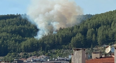 Muğla'da korkutan orman yangını