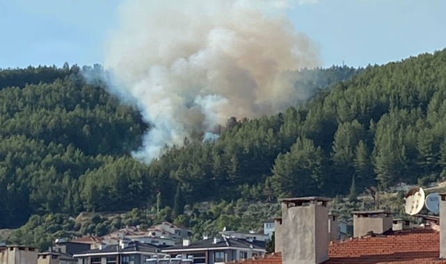 Muğla'da korkutan orman yangını