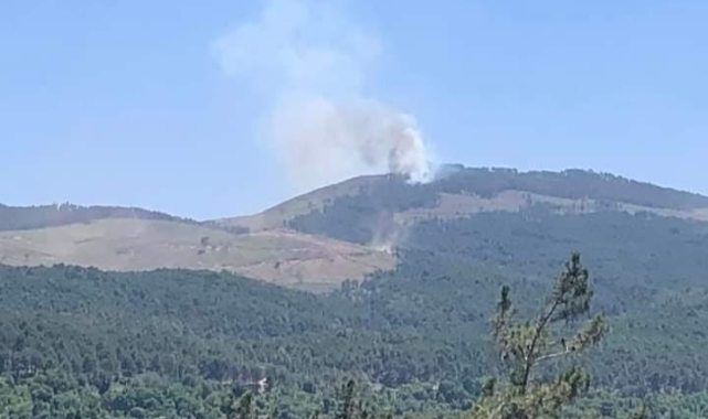Muğla’da orman yangını