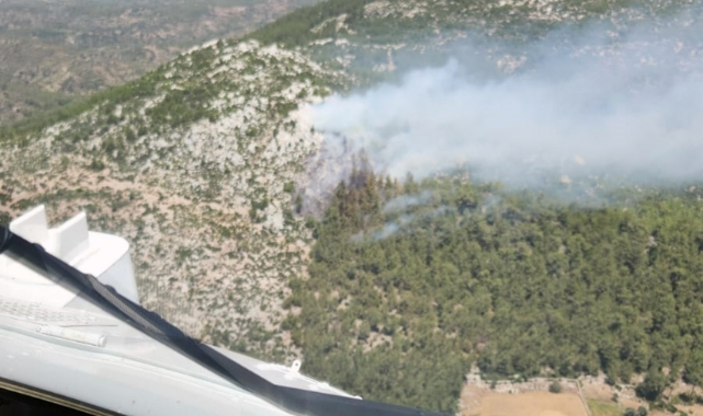 Muğla'da orman yangını