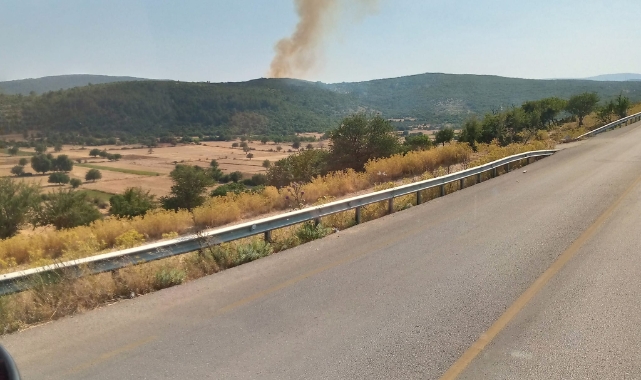 Muğla’da orman yangını