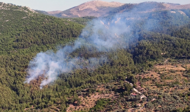 Muğla’da orman yangını