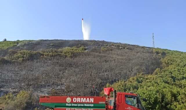Muğla’daki orman yangını kontrol altına alındı