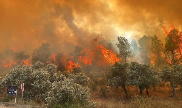 Muğla Milas'ta orman yangını
