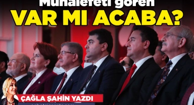Muhalefet ne demekti!