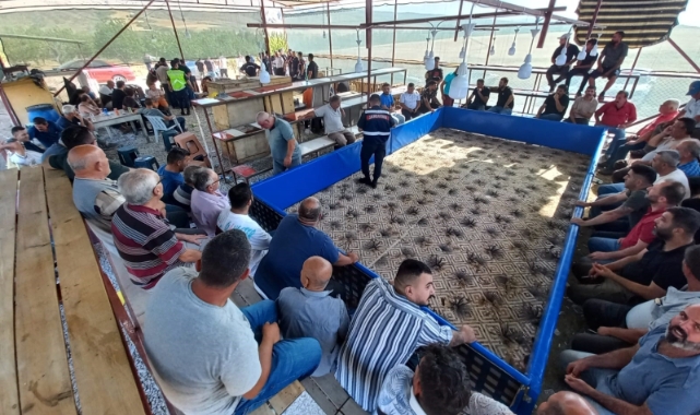 Niğde'de horoz dövüştüren 71 kişi gözaltına alındı