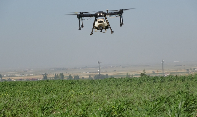 Niğde'de tarlalar dron ile ilaçlanıyor
