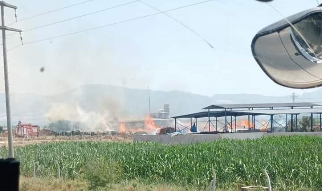 Oduncuda yangın çıktı