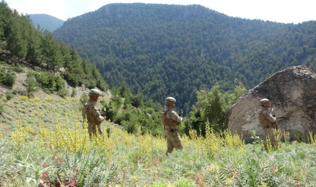 Orman yangınlarına karşı denetimler sıklaştırıldı