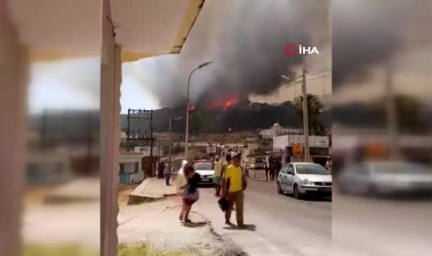 Orman yangınlarında can kaybı 25’e yükseldi
